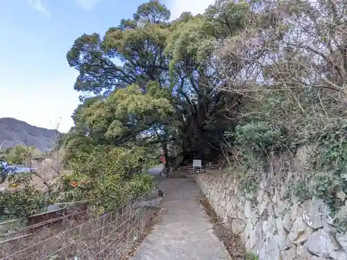 大山祇神社奥の院 生樹の御門(愛媛県)