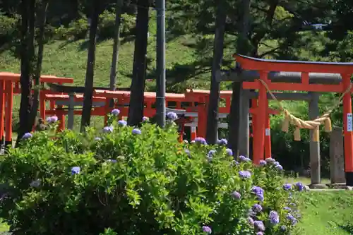 高屋敷稲荷神社の鳥居