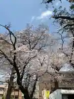 本町南町八幡神社(東京都)