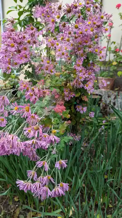 惠心院(京都府)