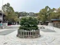 湊川神社(兵庫県)