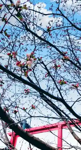 瀧宮神社(広島県)