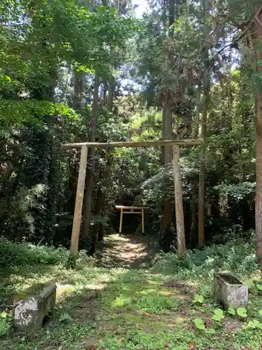 安房大杉神社の鳥居