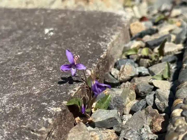 西方山極楽寺(岐阜県)