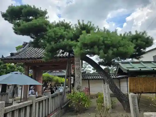 葛井寺(大阪府)