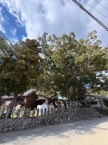 須賀神社(高知県)