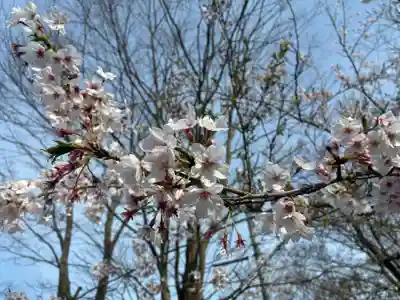劔山神社(徳島県)