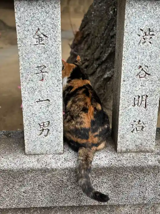 柏諏訪神社の動物