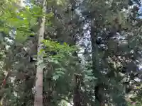 大宮温泉神社(栃木県)