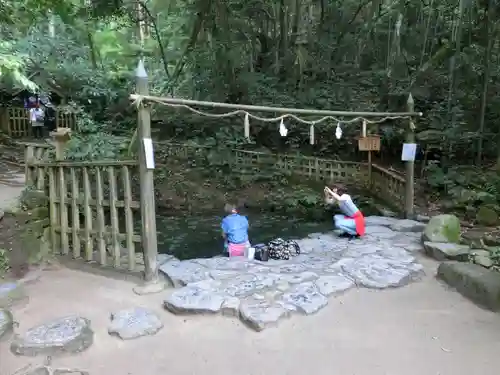 八重垣神社の庭園