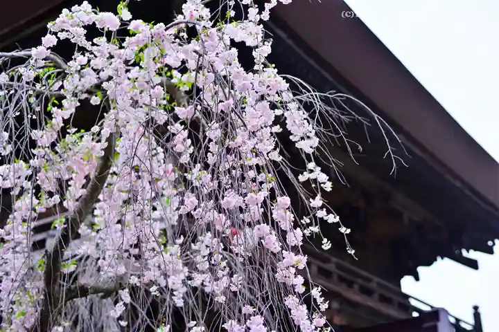 高幡不動尊 金剛寺(東京都)