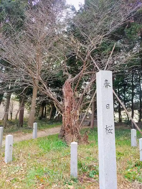 春日神社の自然