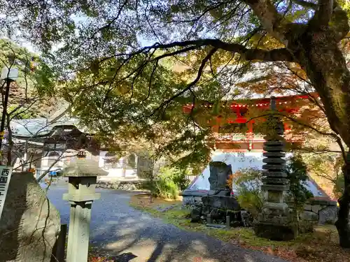 新大佛寺の庭園