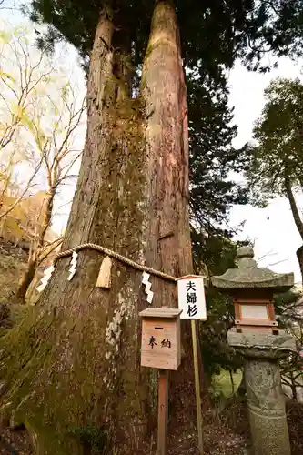 談山神社(奈良県)