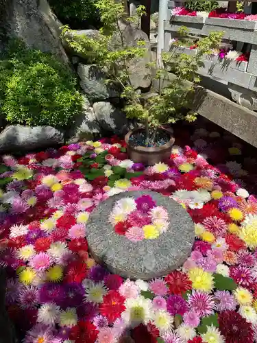 岡寺（龍蓋寺）(奈良県)