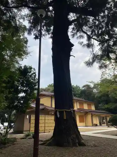 息栖神社(茨城県)