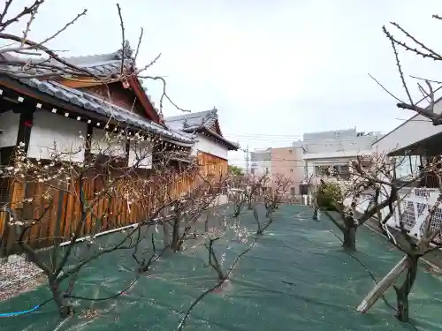長洲天満宮の自然