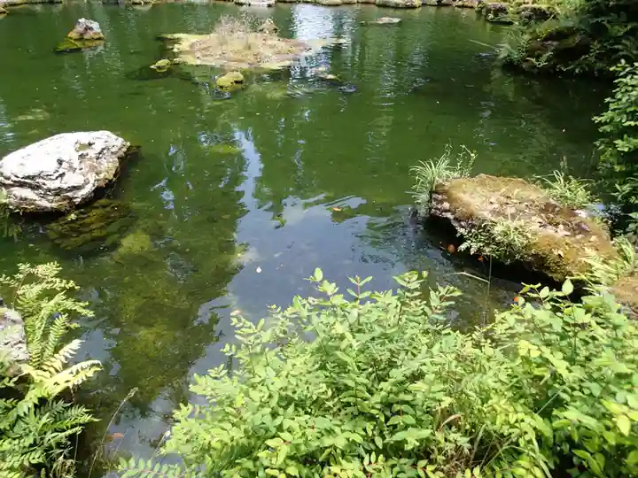 大虫神社の庭園