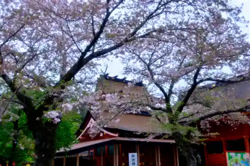 富士山本宮浅間大社の本殿・本堂