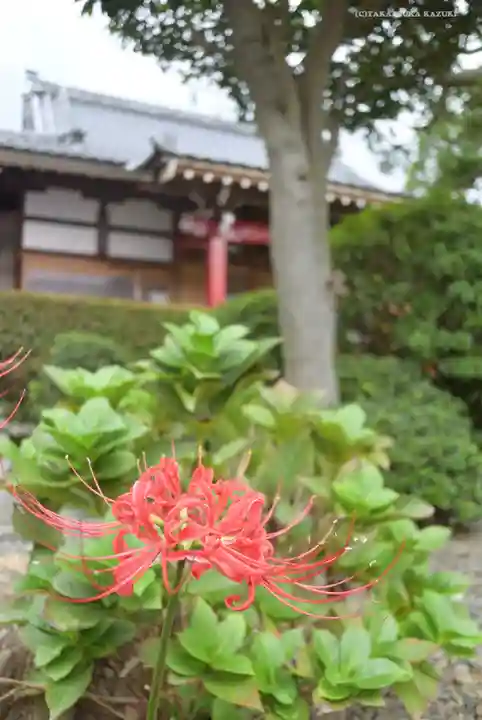 大久保山 自性院の自然