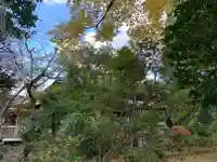 龍田寺のその他建物