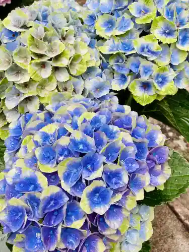 長谷寺(奈良県)