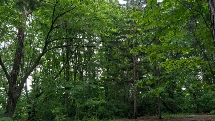 上川神社(北海道)