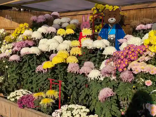 宮地嶽神社の自然