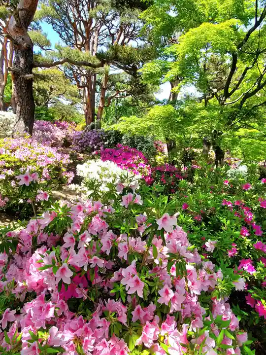 開成山大神宮(福島県)