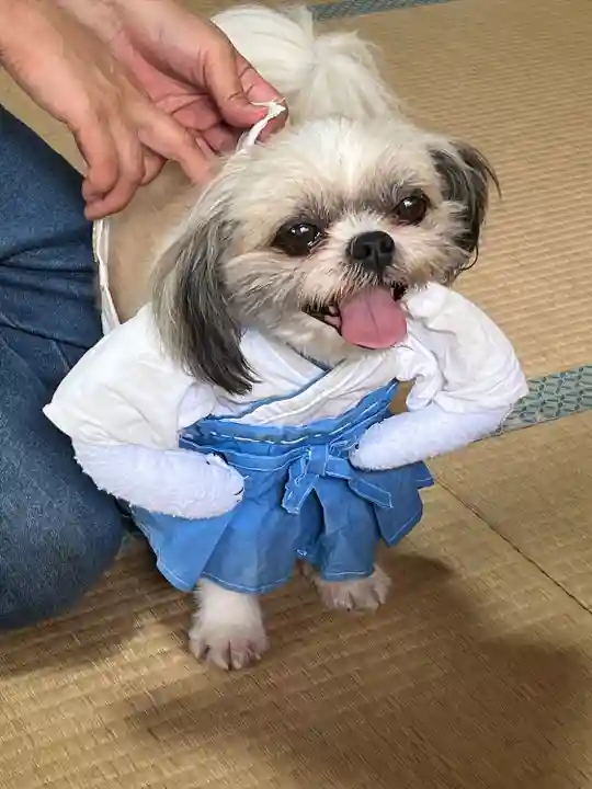 佐久奈度神社(滋賀県)