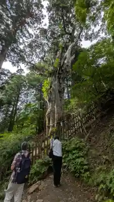 玉置神社(奈良県)