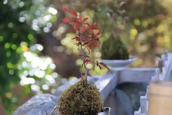 開成山大神宮の手水舎