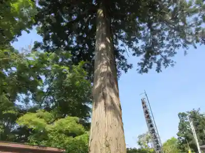 観音正寺(滋賀県)