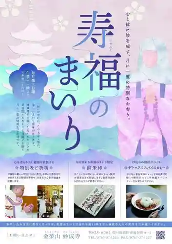 妙成寺の体験その他