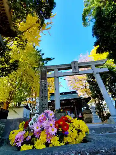 熊野福藏神社の鳥居