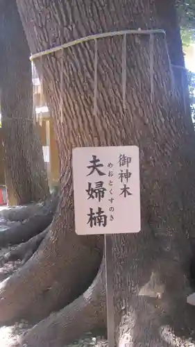 鳩ヶ谷氷川神社(埼玉県)