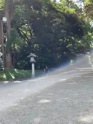 明治神宮(東京都)