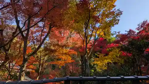 即宗院(京都府)