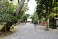 蒲神明宮の自然