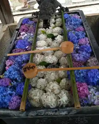 柳谷観音 楊谷寺の手水舎