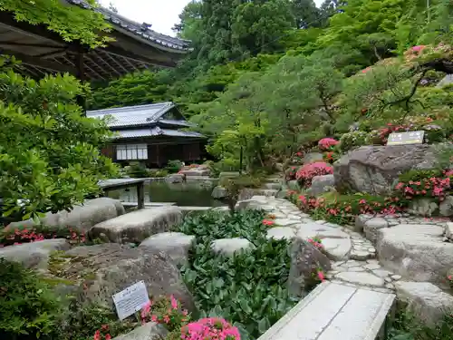 百済寺の庭園