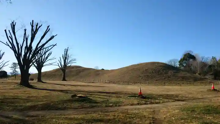 前玉神社の{uncategorized: "未分類", other: "その他", undefined: "問題あり", building: "その他建物", grave: "お墓", sacred_gate: "鳥居", guardian: "狛犬", statue: "像", buddha: "仏像", history: "歴史", nature: "自然", garden: "庭園", animal: "動物", pagoda: "塔", temizu: "手水舎", mountain_gate: "山門・神門", sanctuary: "本殿・本堂", subordinate: "末社・摂社", art: "芸術", scenery: "景色", jizo: "地蔵", ema: "絵馬", goshuin: "御朱印", omikuji: "おみくじ", items: "授与品その他", amulet: "お守り", goshuincho: "御朱印帳", eats: "食事", festival: "お祭り", votive_dance: "神楽", shichigosan: "七五三参", wedding: "結婚式", experience: "体験その他", initially: "初詣", around: "周辺", anti_infection: "感染症対策"}