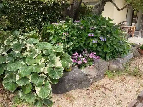 蓮花寺(東京都)