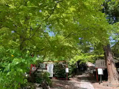 渋川八幡宮のその他建物