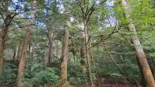 瀧原宮(皇大神宮別宮)(三重県)
