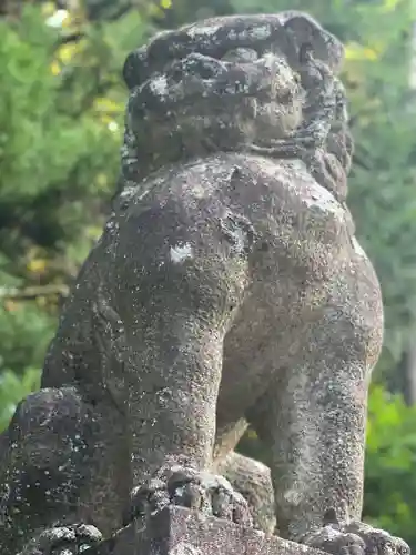 北口本宮冨士浅間神社の狛犬