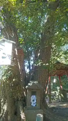 愛宕神社(茨城県)