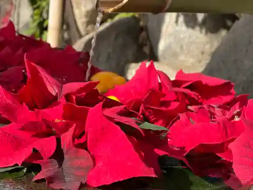 差出磯大嶽山神社 仕事と健康と厄よけの神さまの手水舎