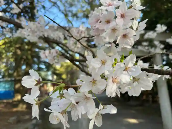 諏訪神社(三重県)