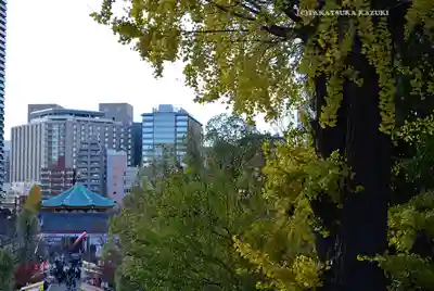 寛永寺不忍池弁天堂(東京都)